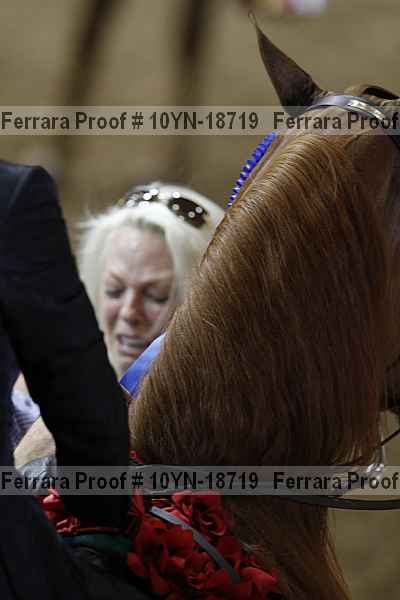 Proof 10yn-18719