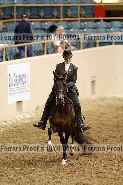 Proof 10yn-05004