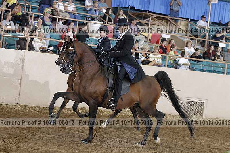 Proof 10yn-05012