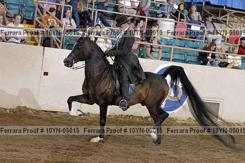 Proof 10yn-05015