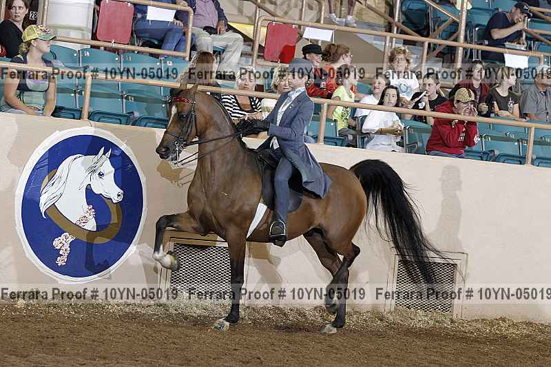 Proof 10yn-05019