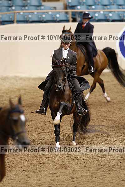 Proof 10yn-05023