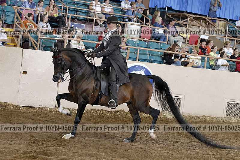 Proof 10yn-05025