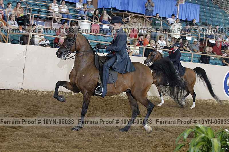 Proof 10yn-05033