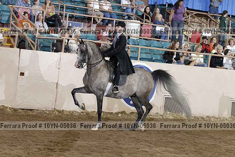 Proof 10yn-05036