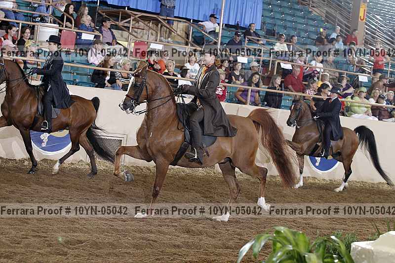 Proof 10yn-05042