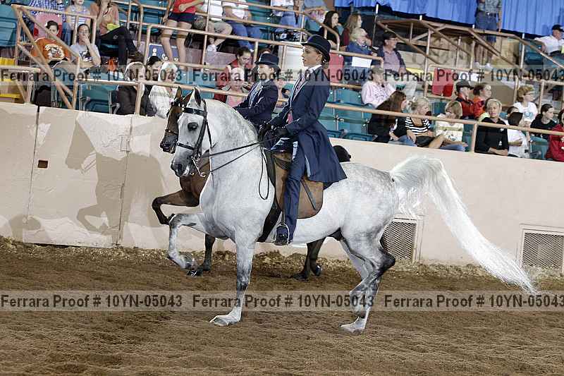 Proof 10yn-05043