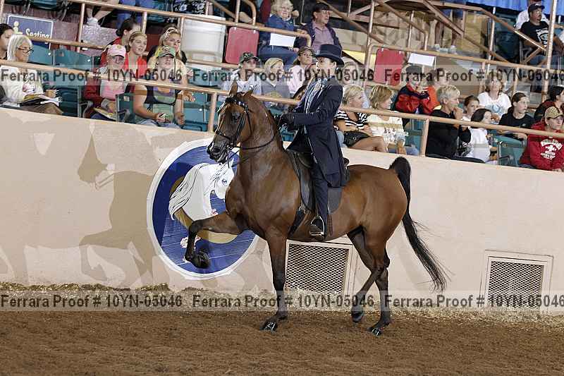 Proof 10yn-05046