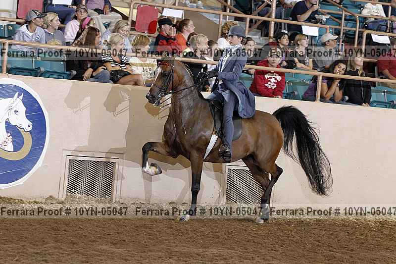 Proof 10yn-05047