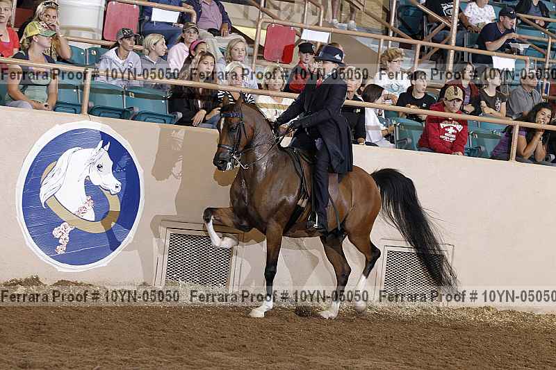 Proof 10yn-05050