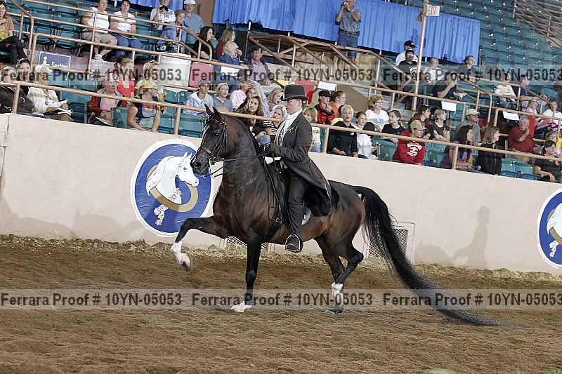 Proof 10yn-05053