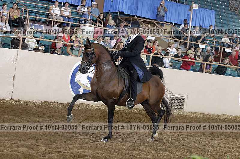 Proof 10yn-05055