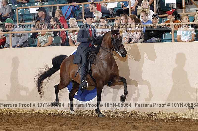 Proof 10yn-05064