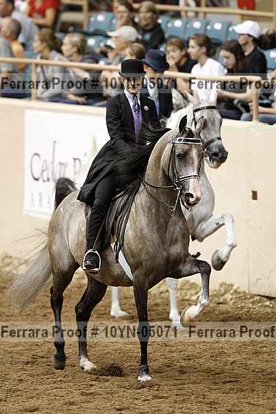 Proof 10yn-05071
