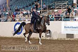10yn-05080 proof