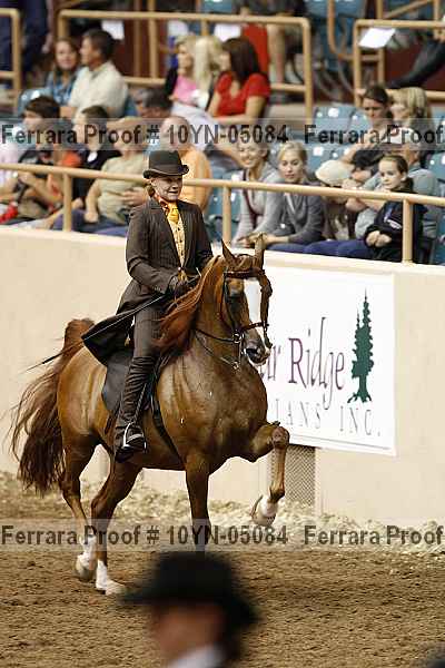 Proof 10yn-05084