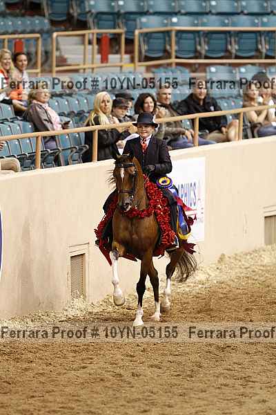 Proof 10yn-05155