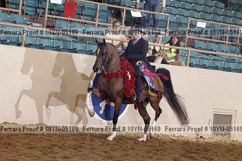 Proof 10yn-05169