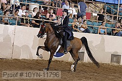 10yn-11796 proof