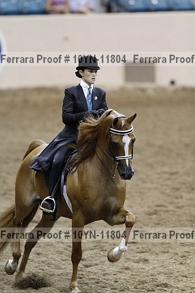 Proof 10yn-11804