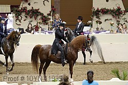 10yn-11935 proof