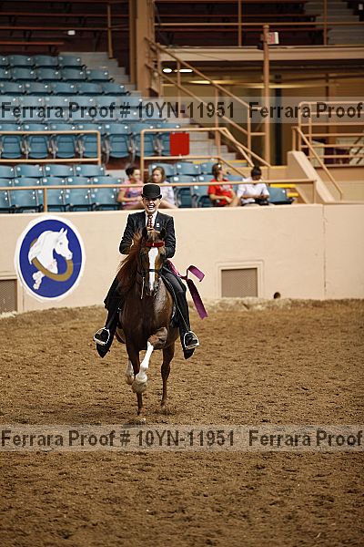 Proof 10yn-11951