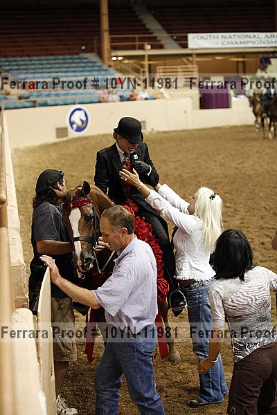 Proof 10yn-11981