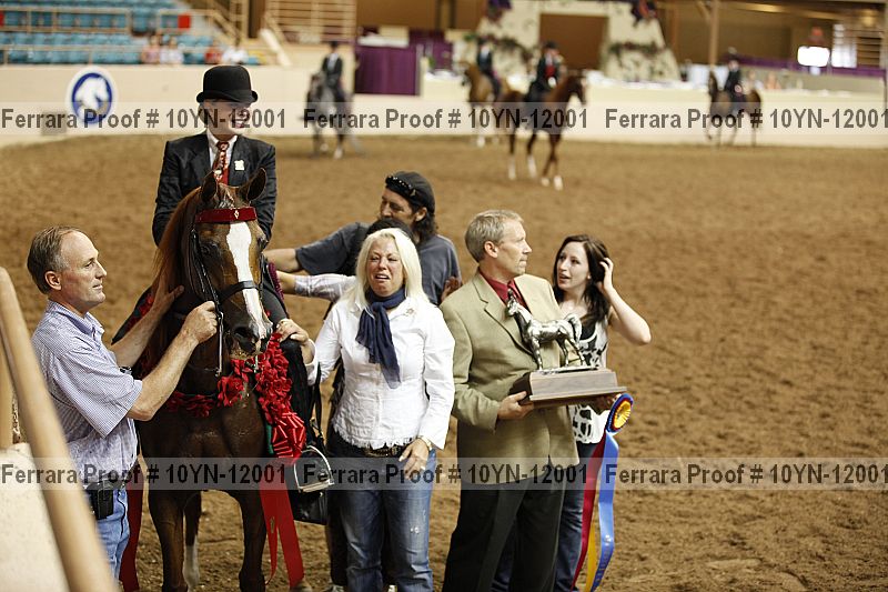 Proof 10yn-12001