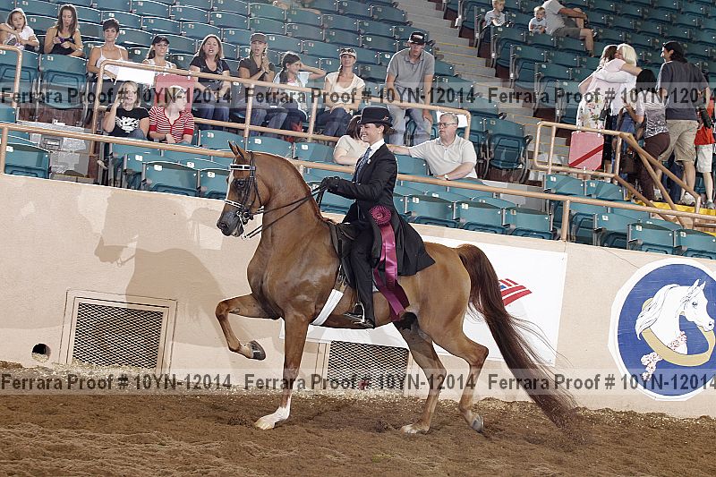Proof 10yn-12014