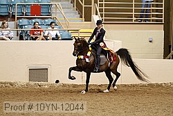 10yn-12044 proof