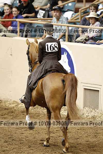 Proof 10yn-03909