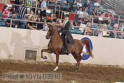 10yn-03910 proof