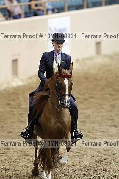 Proof 10yn-03931
