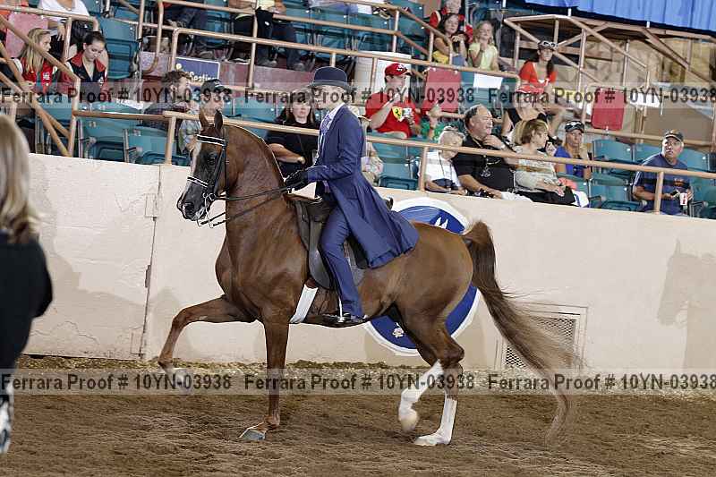 Proof 10yn-03938