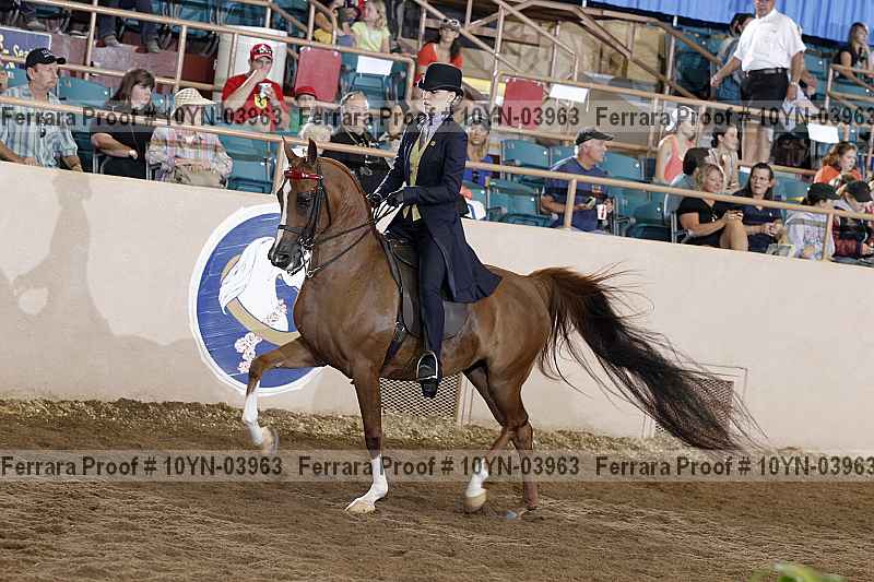 Proof 10yn-03963