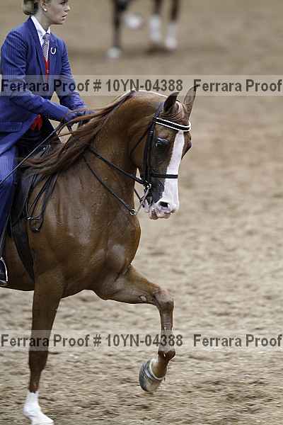 Proof 10yn-04388