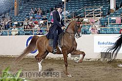 10yn-04458 proof