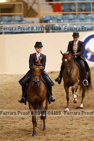 Proof 10yn-04499