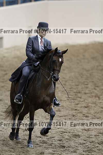 Proof 10yn-15417