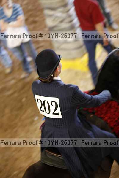 Proof 10yn-25077