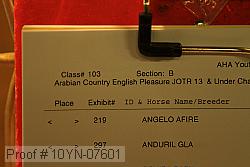 10yn-07601 proof
