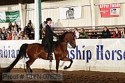 10yn-07623 proof