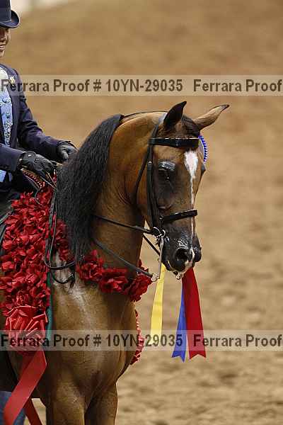 Proof 10yn-29035