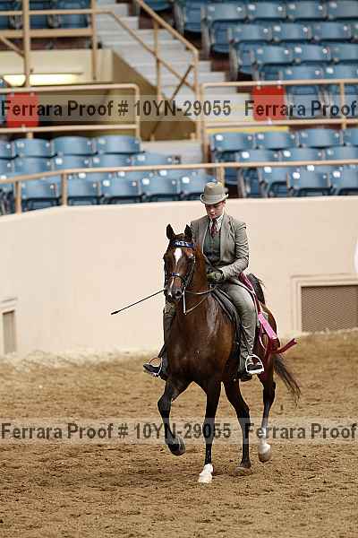 Proof 10yn-29055