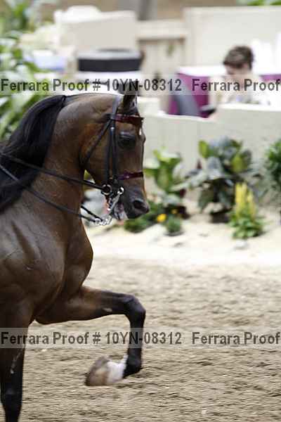 Proof 10yn-08312