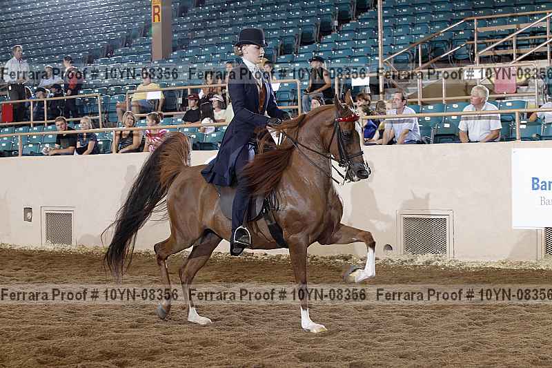 Proof 10yn-08356