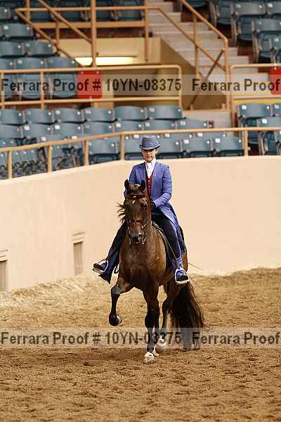 Proof 10yn-08375