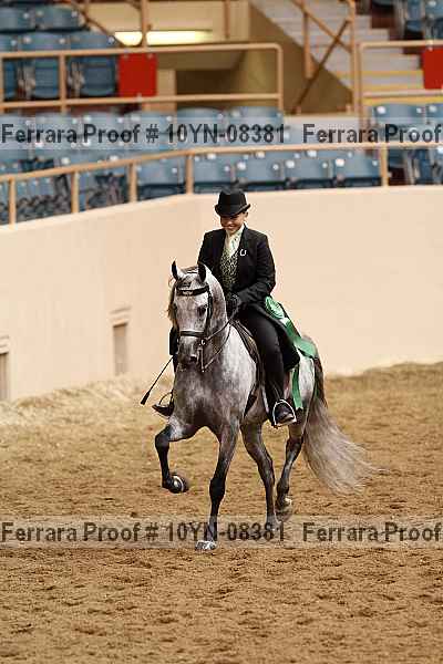 Proof 10yn-08381