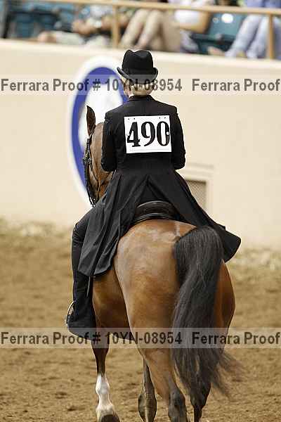 Proof 10yn-08954