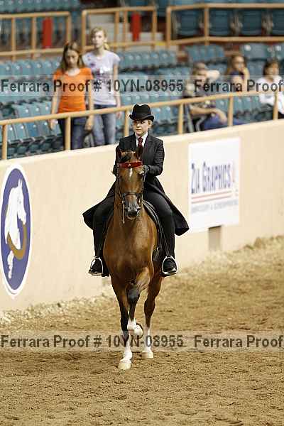 Proof 10yn-08955